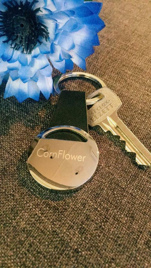 Cornflower Apartment Hajdúszoboszló Eksteriør bilde